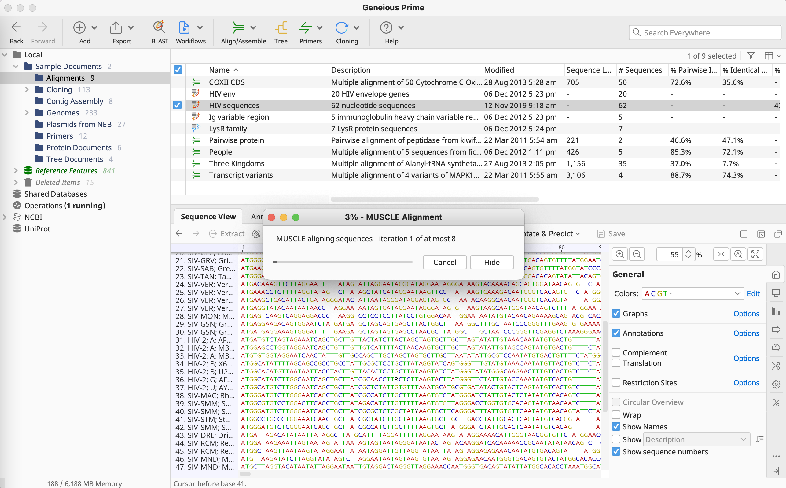 Geneious Prime_マルチプルアライメント_パラメータ2